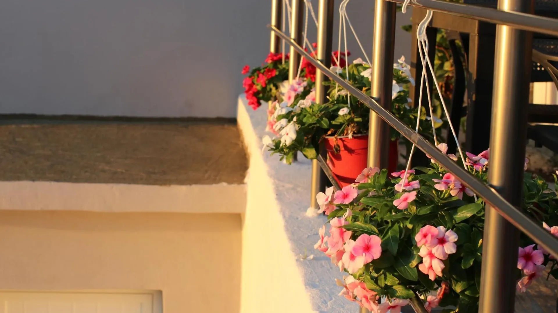 Guest house Vila Elarad Vlore